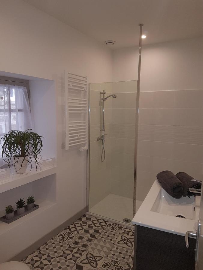 Chez Alice Appartement En Plein Centre Ville 萨尔拉拉卡内达 外观 照片