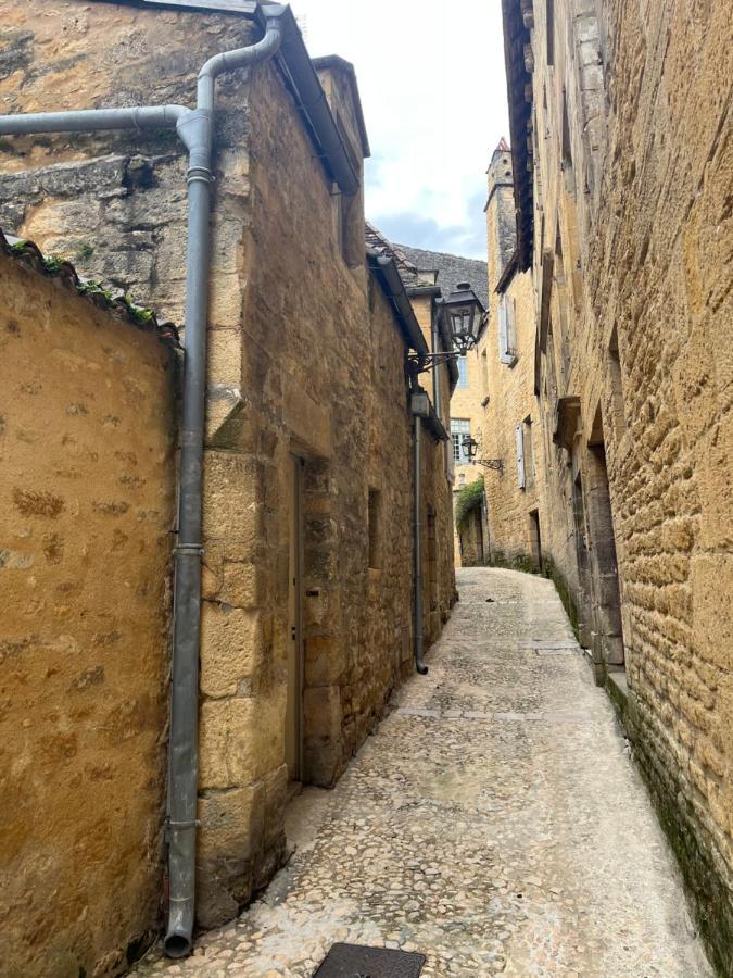 Chez Alice Appartement En Plein Centre Ville 萨尔拉拉卡内达 外观 照片